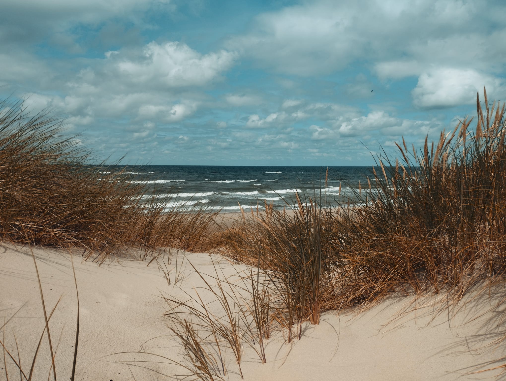 Baltic Stories in Color photograph 02