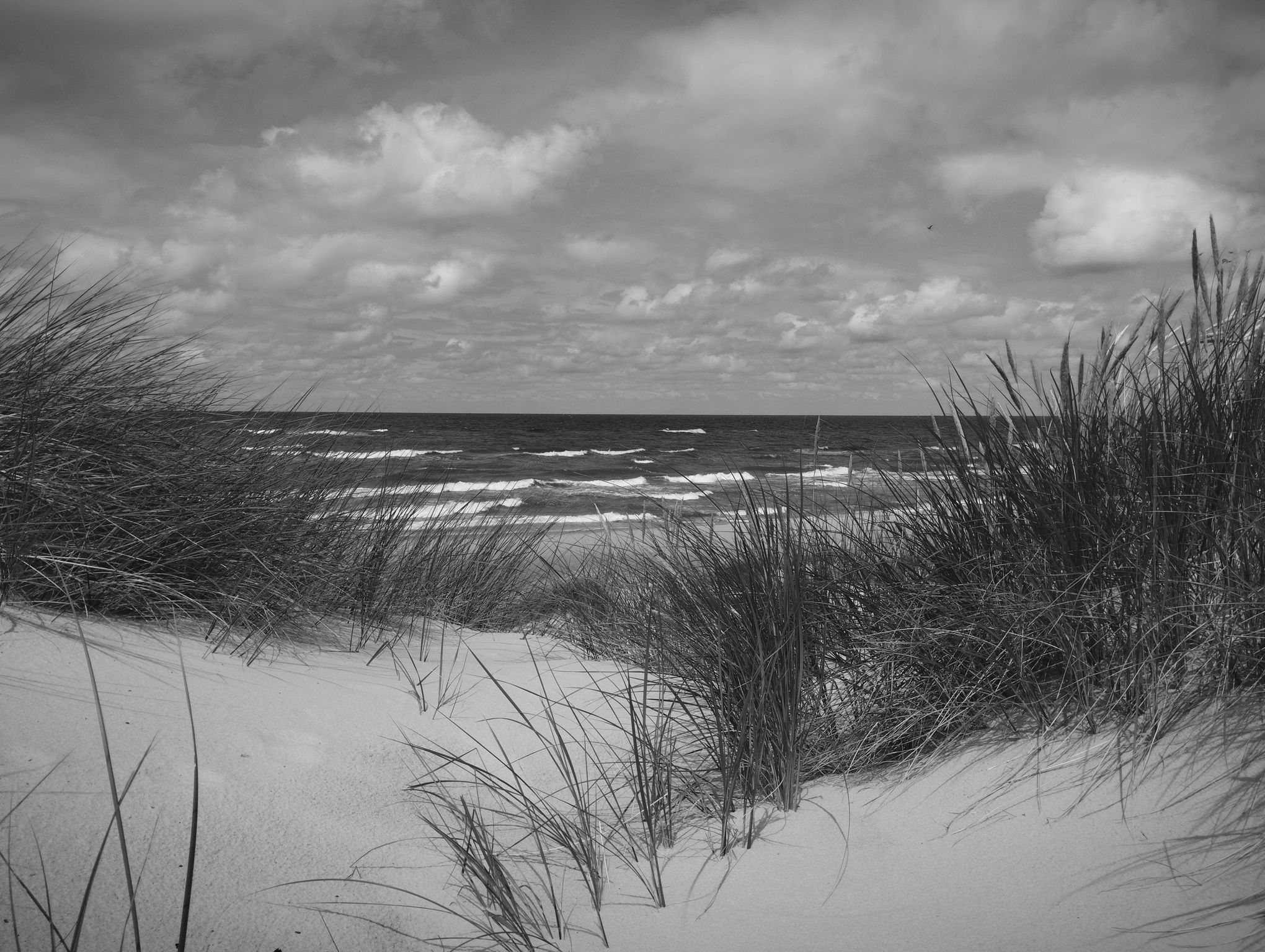 Baltic Stories photograph 03