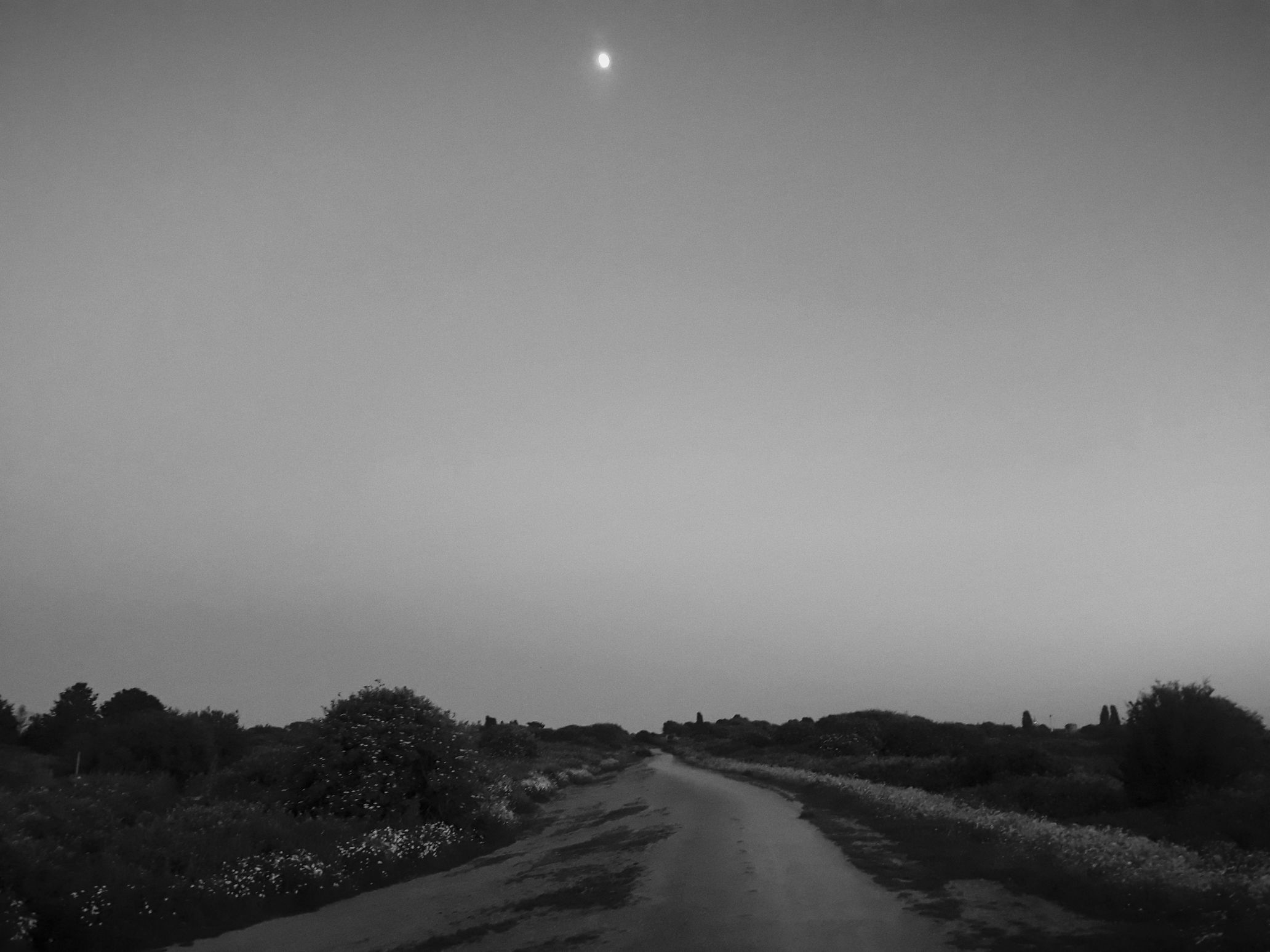 Portrait photograph 02