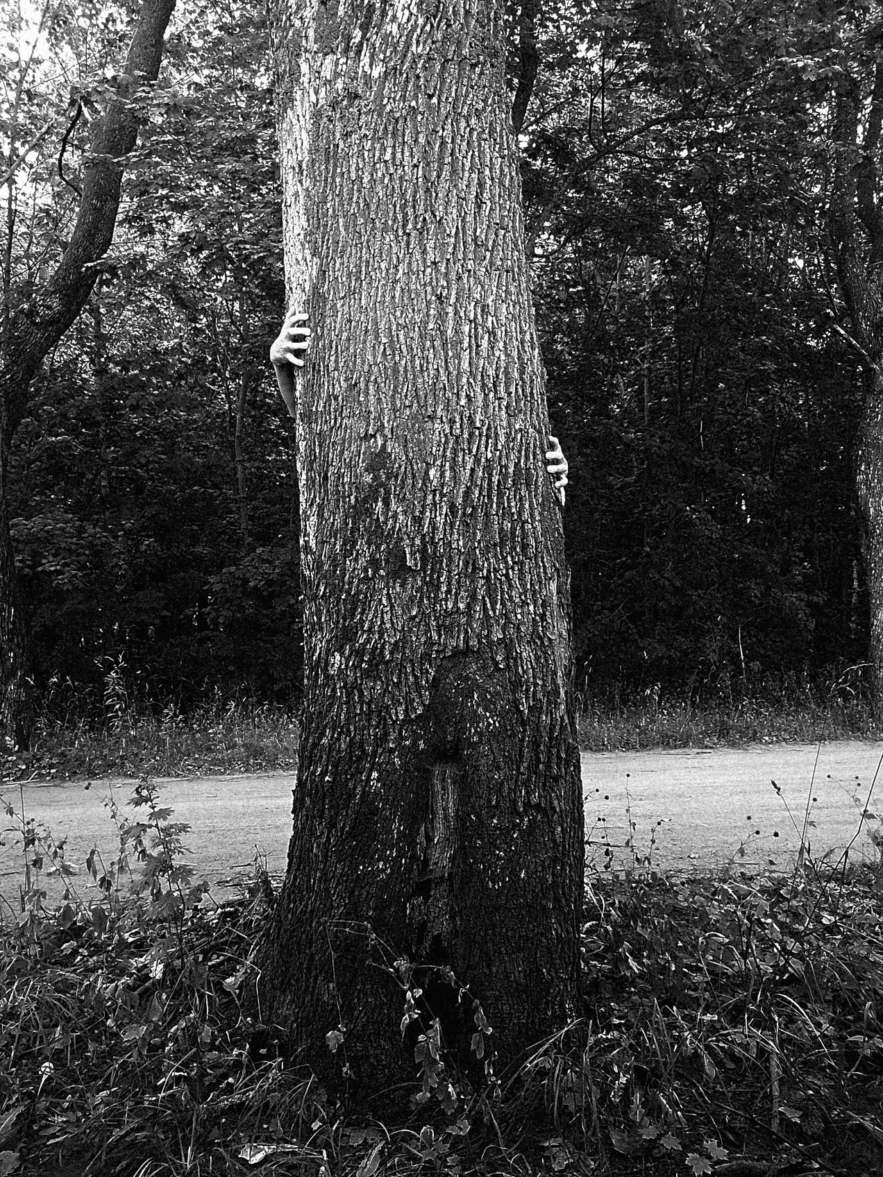 v01d0x photograph 01