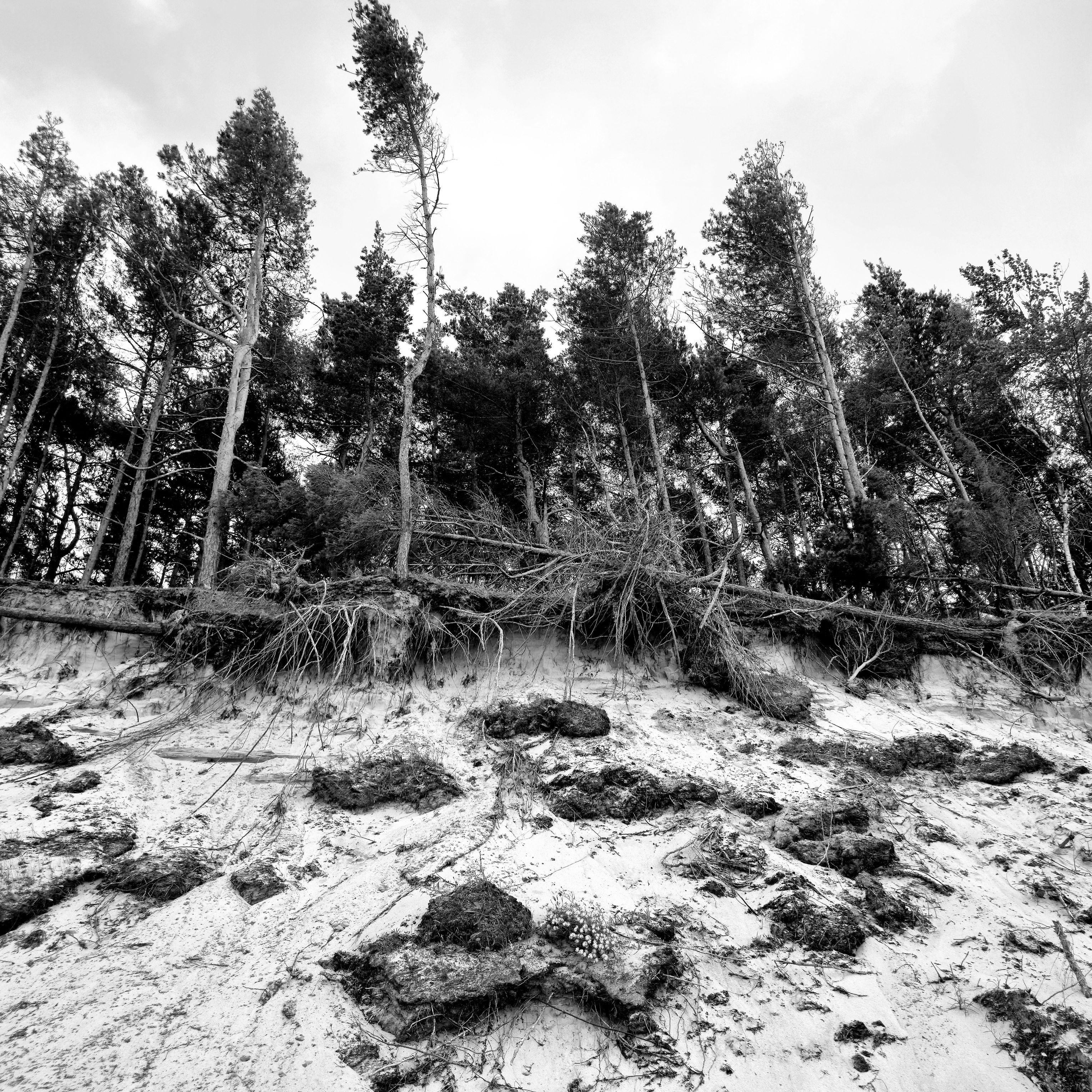 v01d0x photograph 02