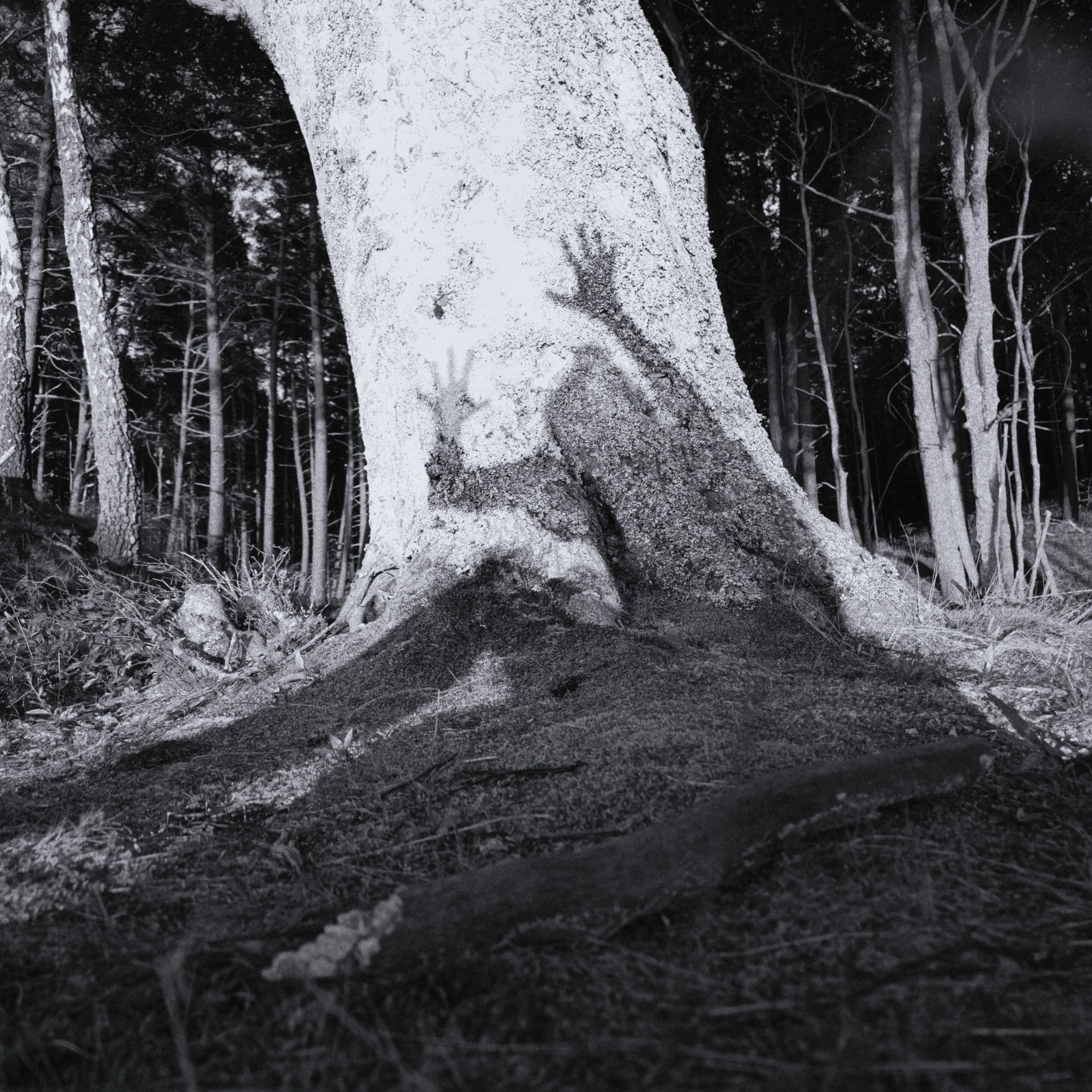 v01d0x photograph 03