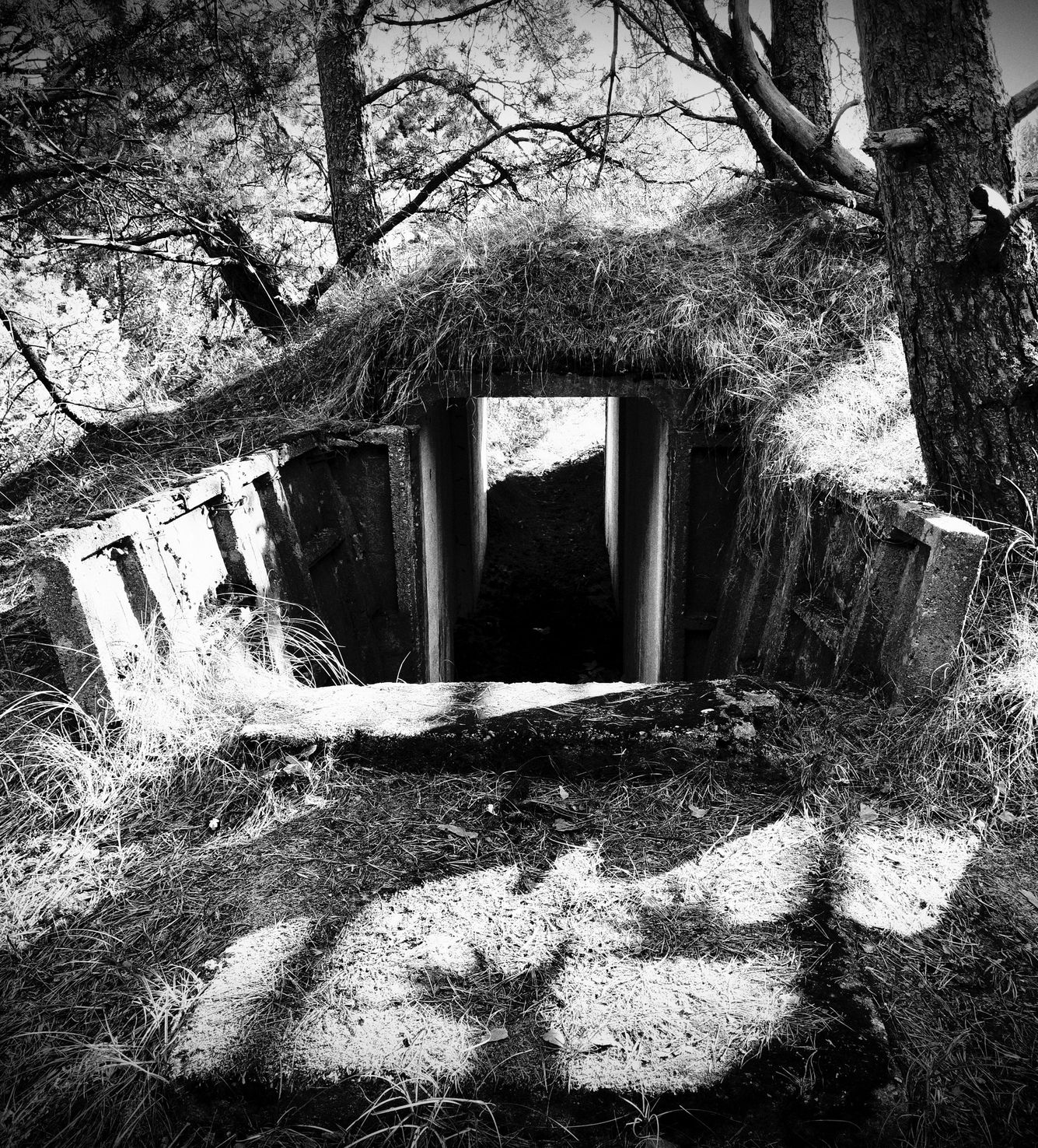 v01d0x photograph 03