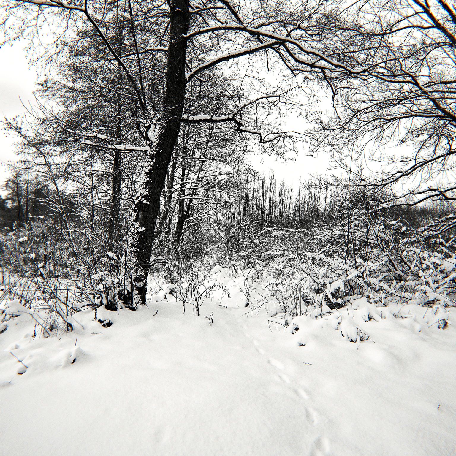 v01d0x photograph 03