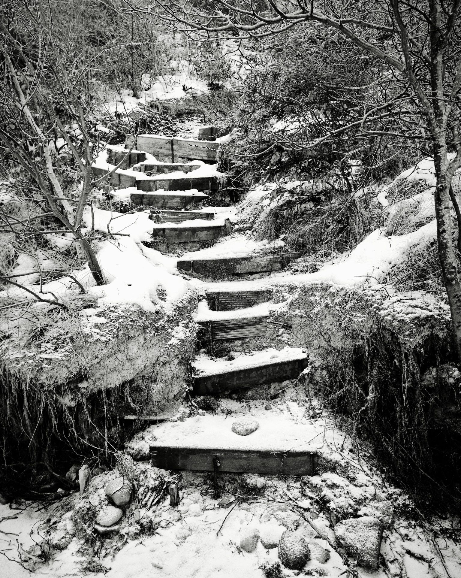 v01d0x photograph 03