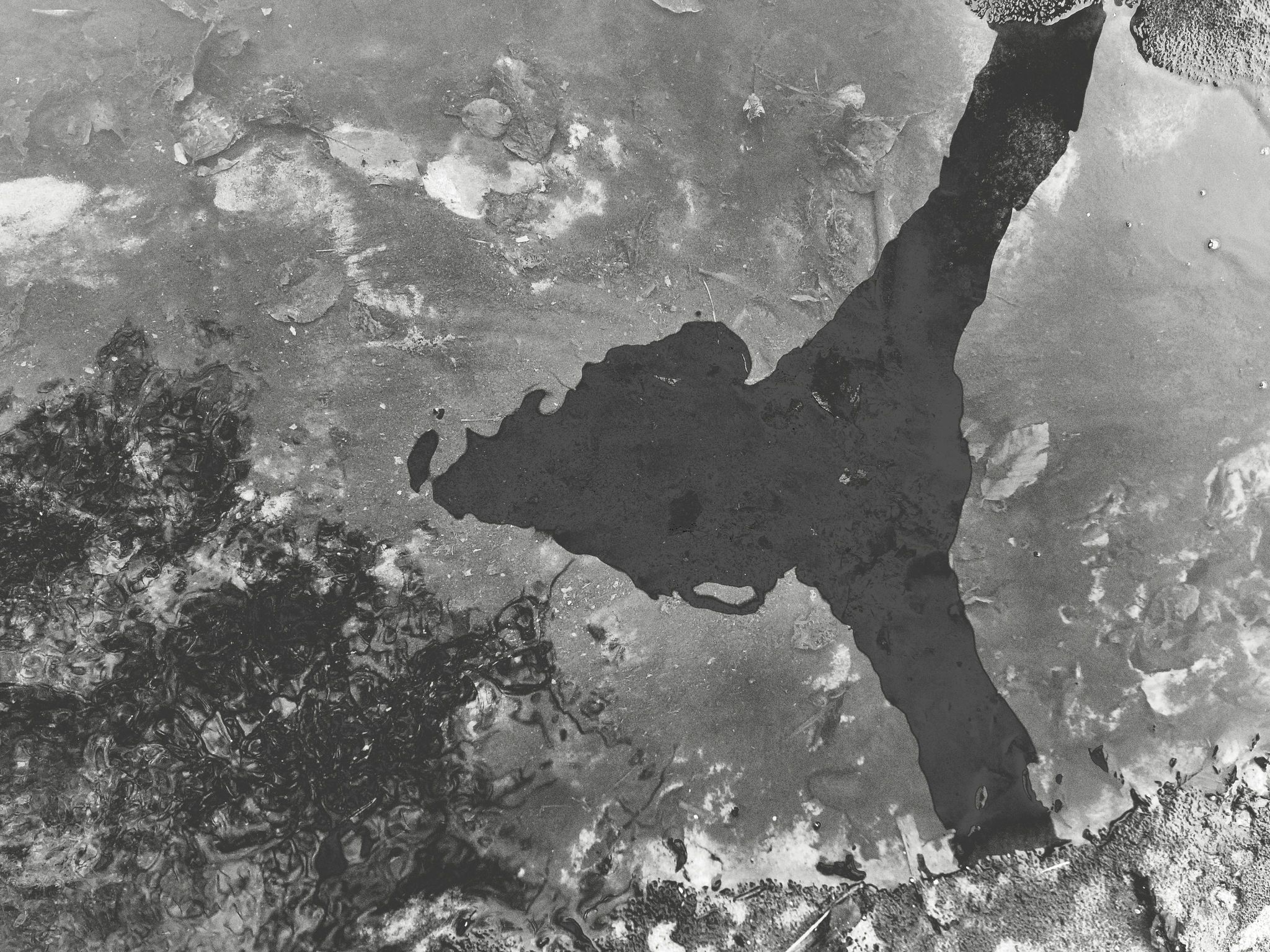 v01d0x photograph 03